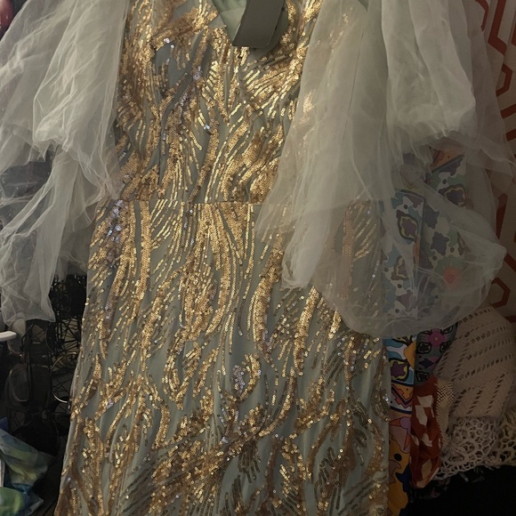 Elegant Formal Evening Gown - Picture 5 of 11